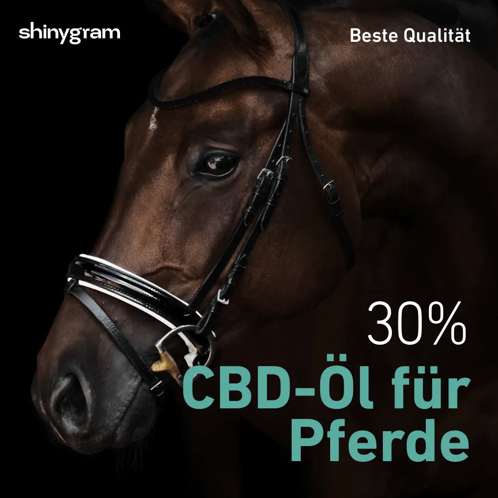 CBD Öl für Pferde 30% HHCFriends