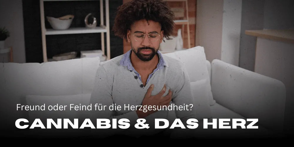 Cannabis und das Herz: Freund oder Feind für die Herzgesundheit?