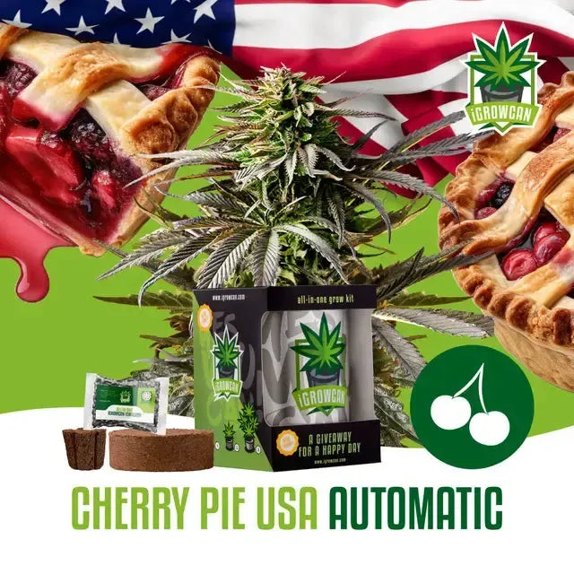 All-in-One Grow Kit: Cherry Pie USA (iGrowCan)-HHCFriends