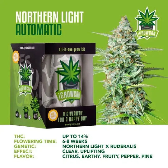 All-in-One Grow Kit: Northern Light Auto (iGrowCan)-HHCFriends
