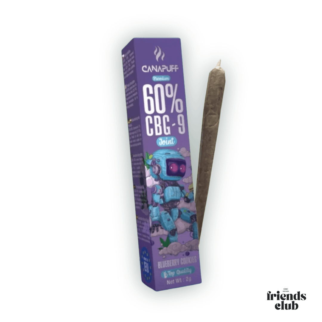 CBG9 Joint Blueberry Cookies 60% 2g-HHCFriends