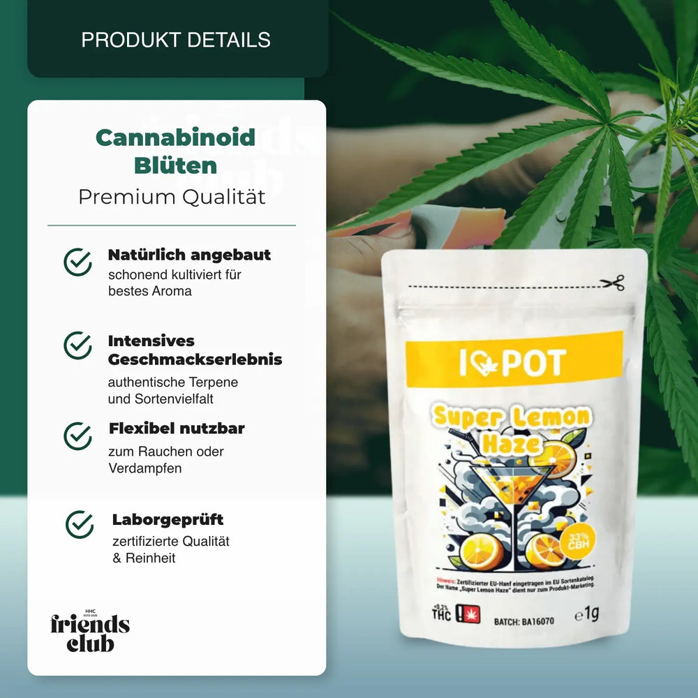 CBH Blüten Super Lemon Haze 33% I♥Pot - hhcfriends