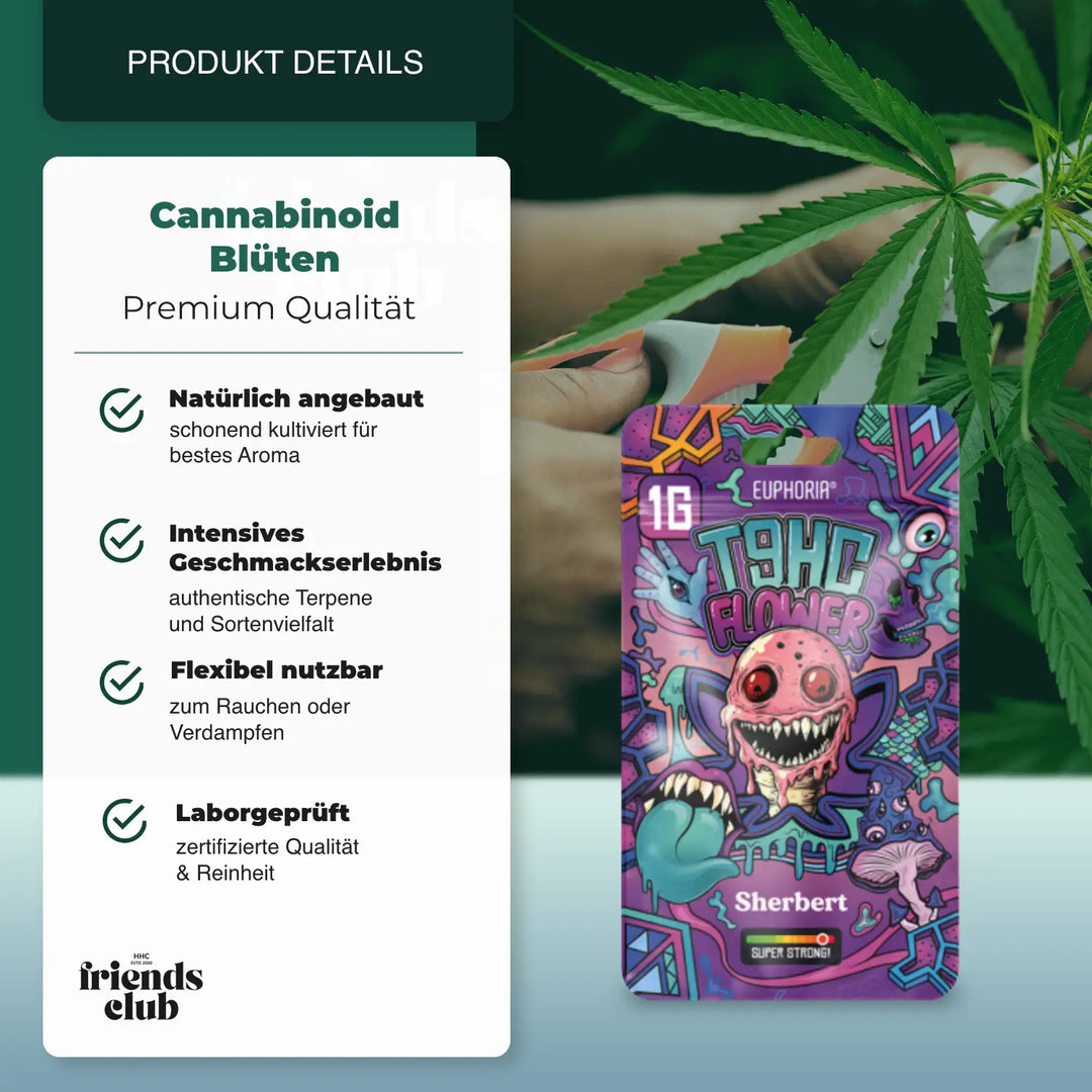T9HC Blüten Sherbert (1 g) - hhcfriends