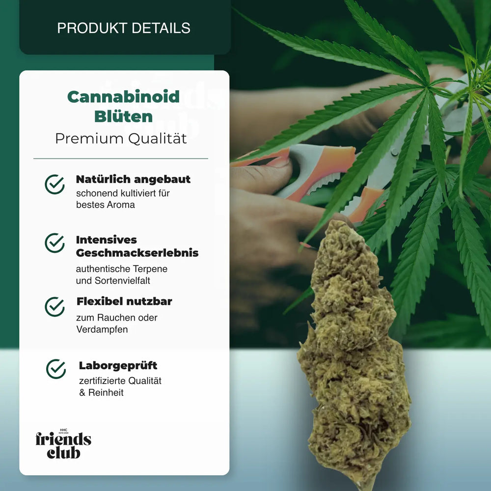 PHC Blüten Cannatonic - hhcfriends