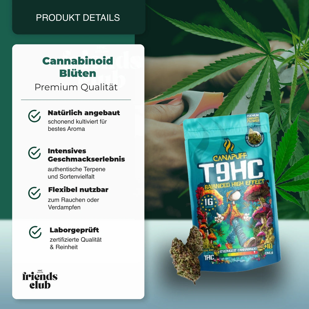 T9HC Blüten Balanced 99% - hhcfriends