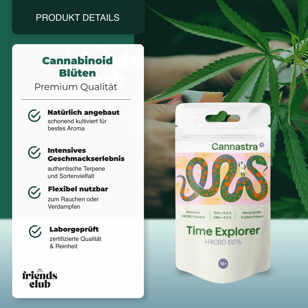 H4CBD Blüten Time Explorer 60% - hhcfriends