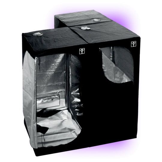 Growbox Cultibox SG-Combi 60 (60x60x140cm) HHCFriends