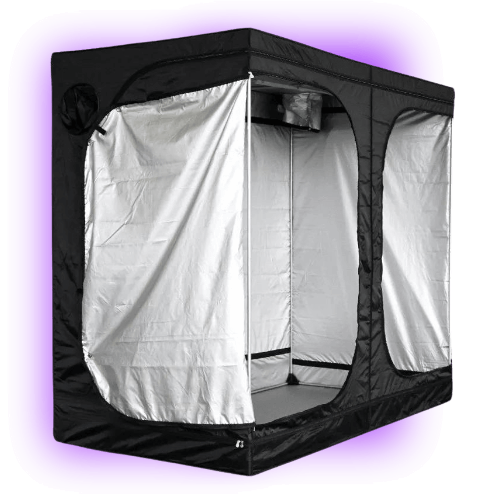 Growbox Mammoth Lite+ 240 (240 x 120 x 200 cm)-HHCFriends