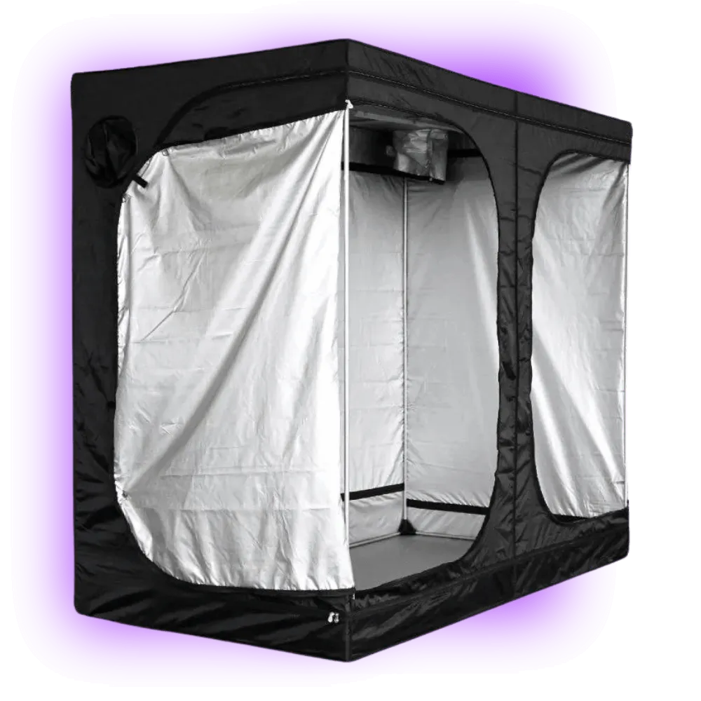 Growbox Mammoth Lite+ 240 (240 x 120 x 200 cm) HHCFriends