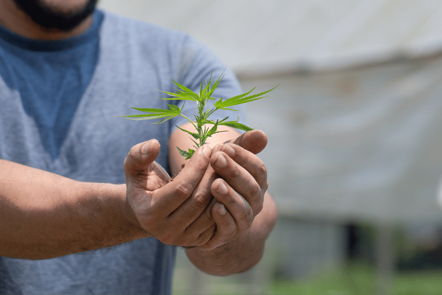 Anbau Outdoor Anleitung