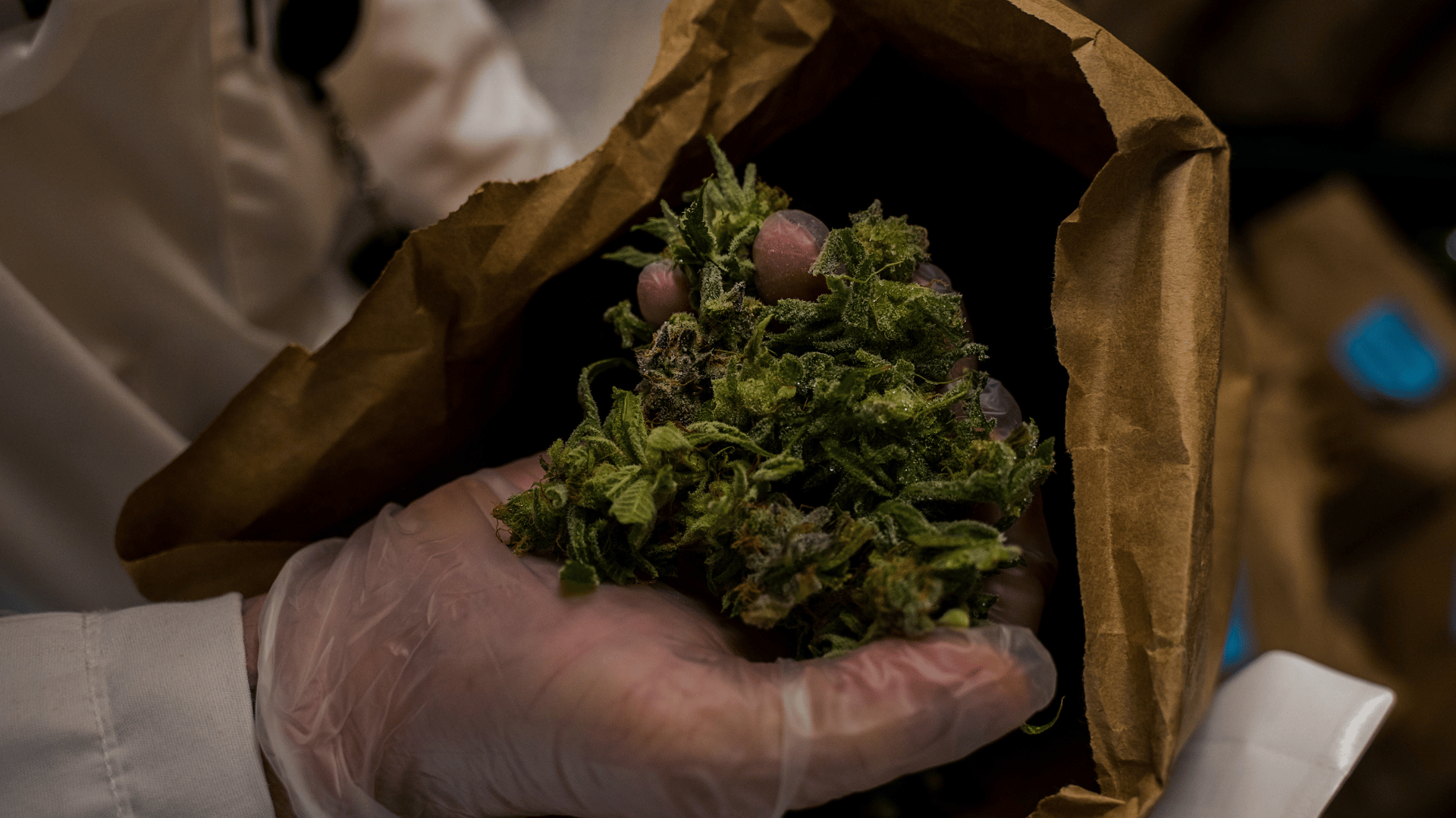 Weed Social Club mit grafischem Design.