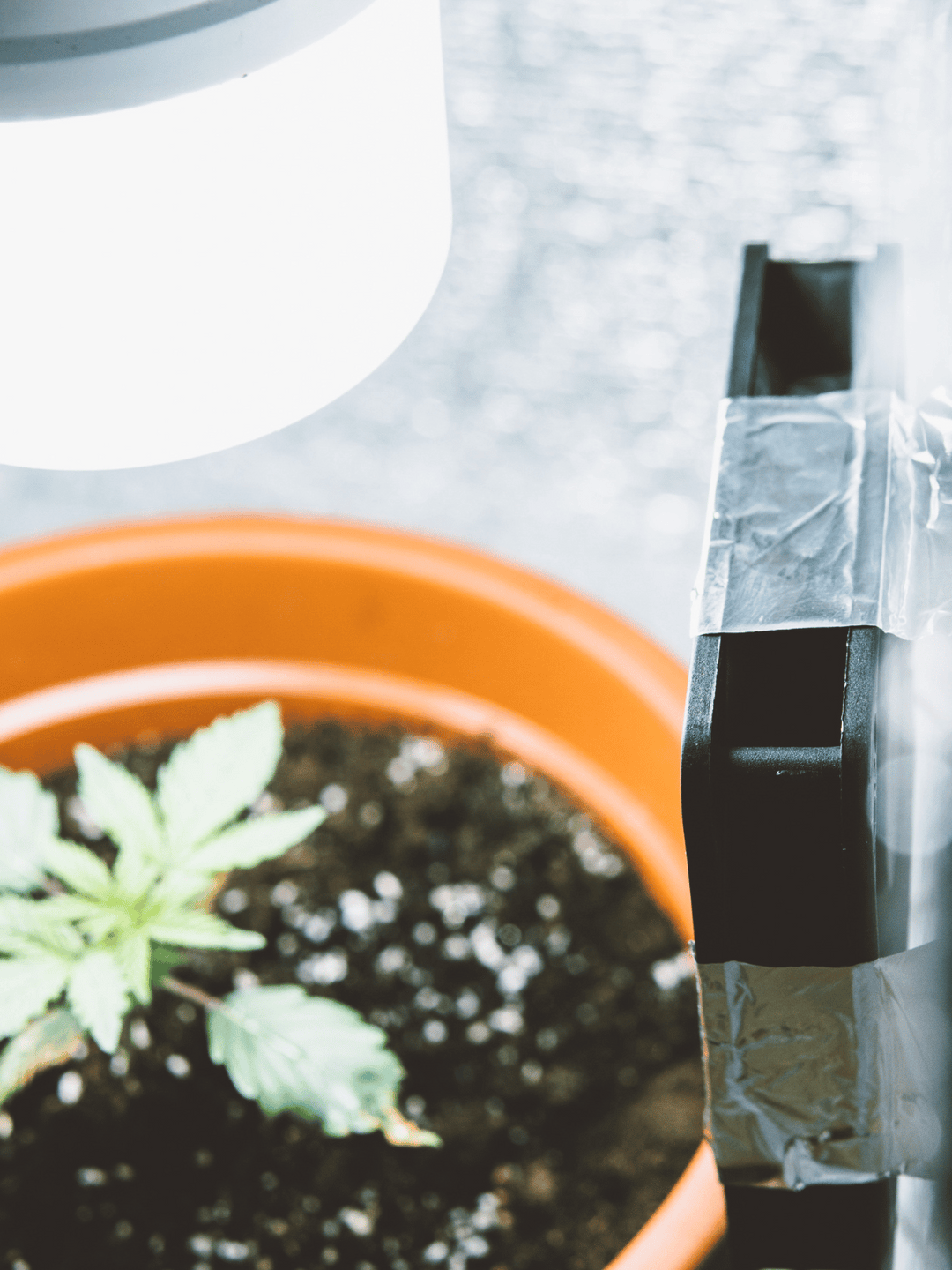 mögliche Lüfterbefestigung