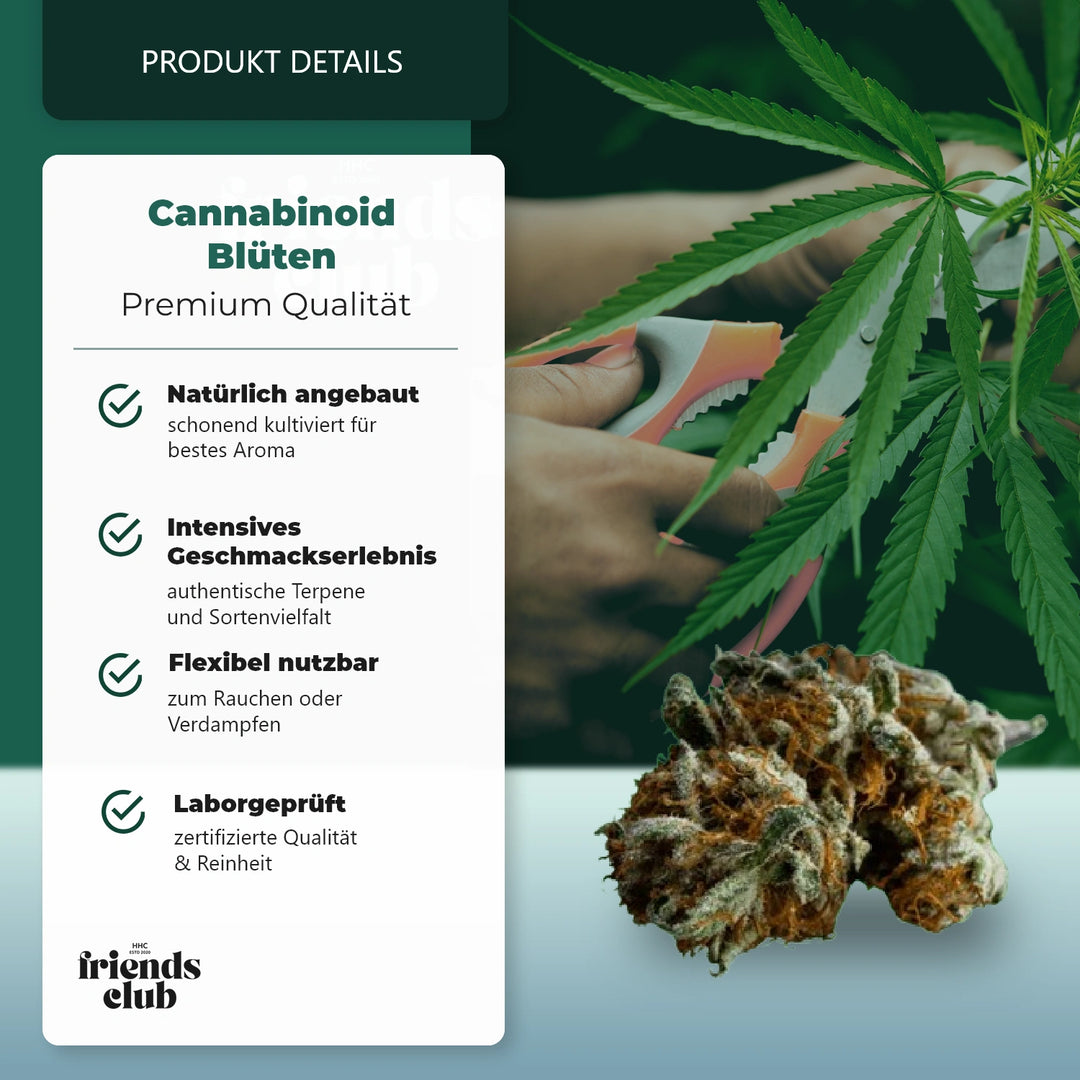 CBD Blüten THC Frei Blackberry Muffin-HHCFriends