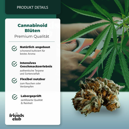 CBD Blüten THC Frei Blackberry Muffin-HHCFriends