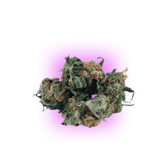 Cannabis Samen Automatik Mix Pack 5 Stück HHCFriends