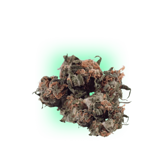 Cannabis Samen Automatik Mix Pack 5 Stück HHCFriends