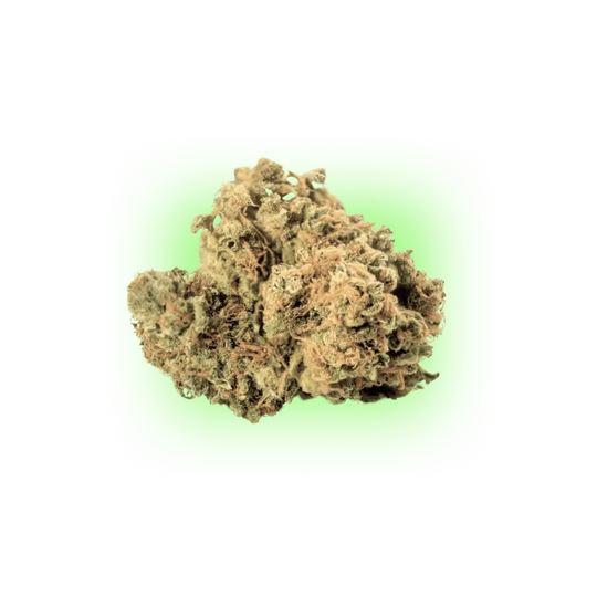 Cannabis Samen Automatik Mix Pack 5 Stück HHCFriends