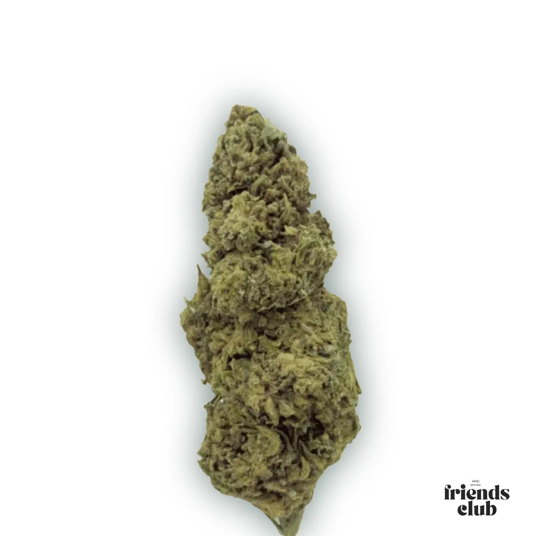 PHC Blüten Cannatonic-HHCFriends