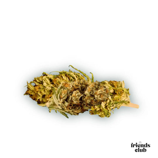 PHC Blüten V1 25%-HHCFriends