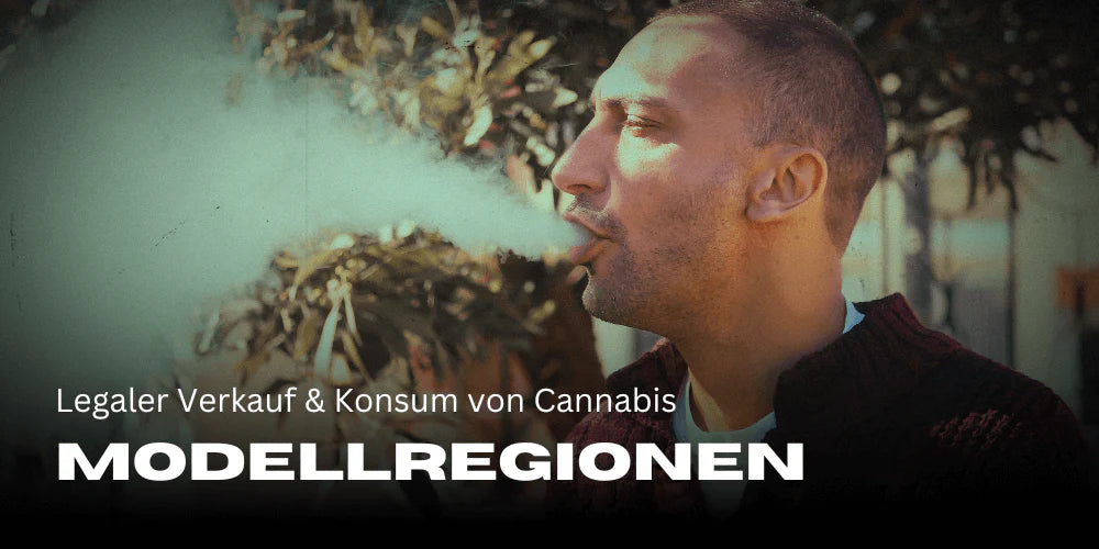 cannabis_legaler_konsum_und_verkauf