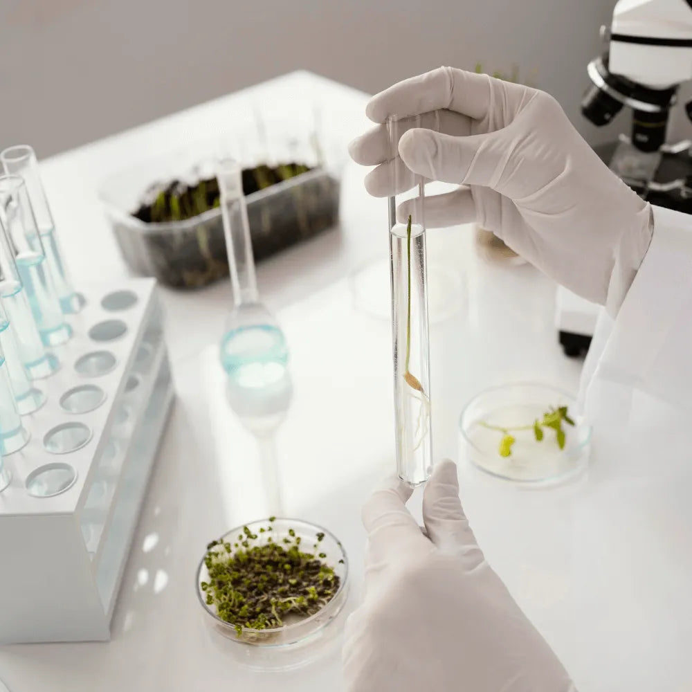 THC Gehalt messen (Analyse)-HHCFriends