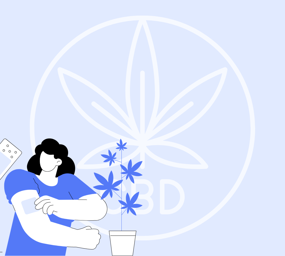 CBD Pflaster Kaufen, einfache Anwendung für Schmerzlinderung.