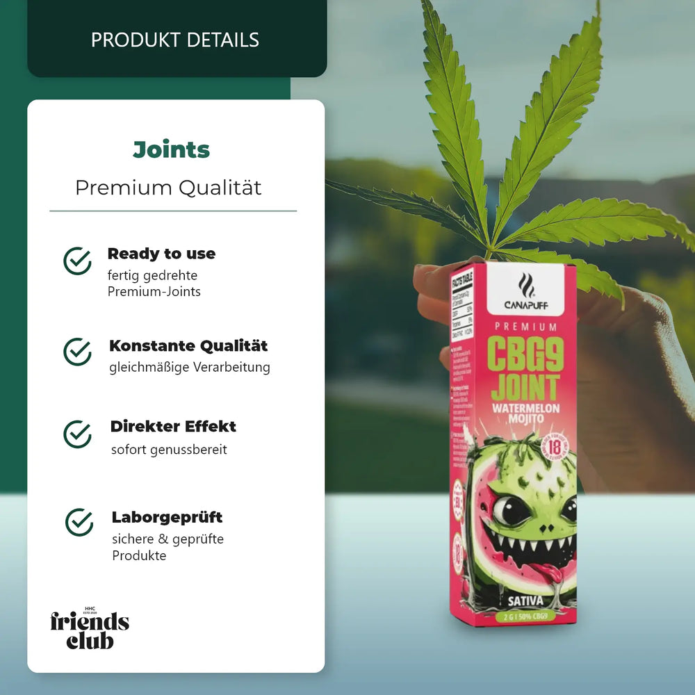 CBG9 Joint Watermelon Mojito 50% 2g-Smagro GmbH