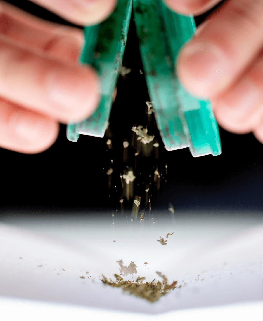 Kräutermühle Crusher Cannabis