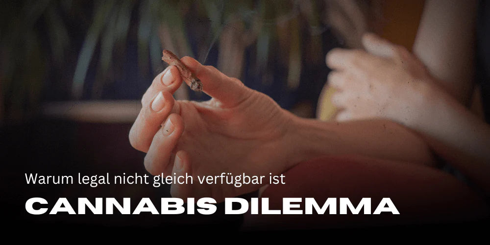 legal_dilemma_deutschland